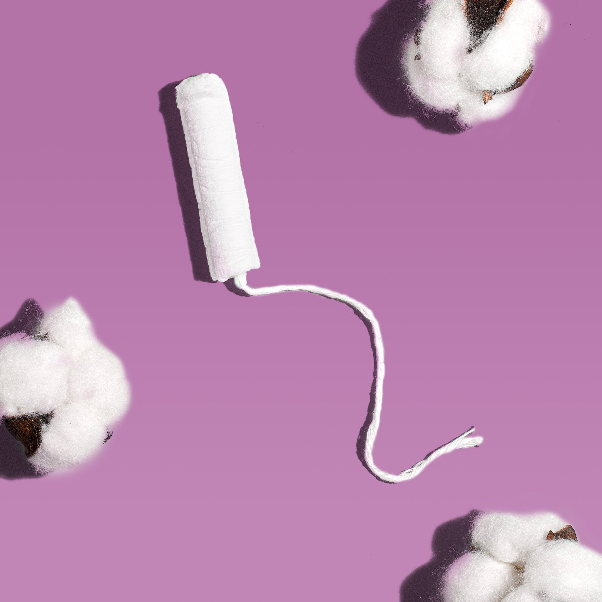 Regular Tampons Made With Organic Cotton U5