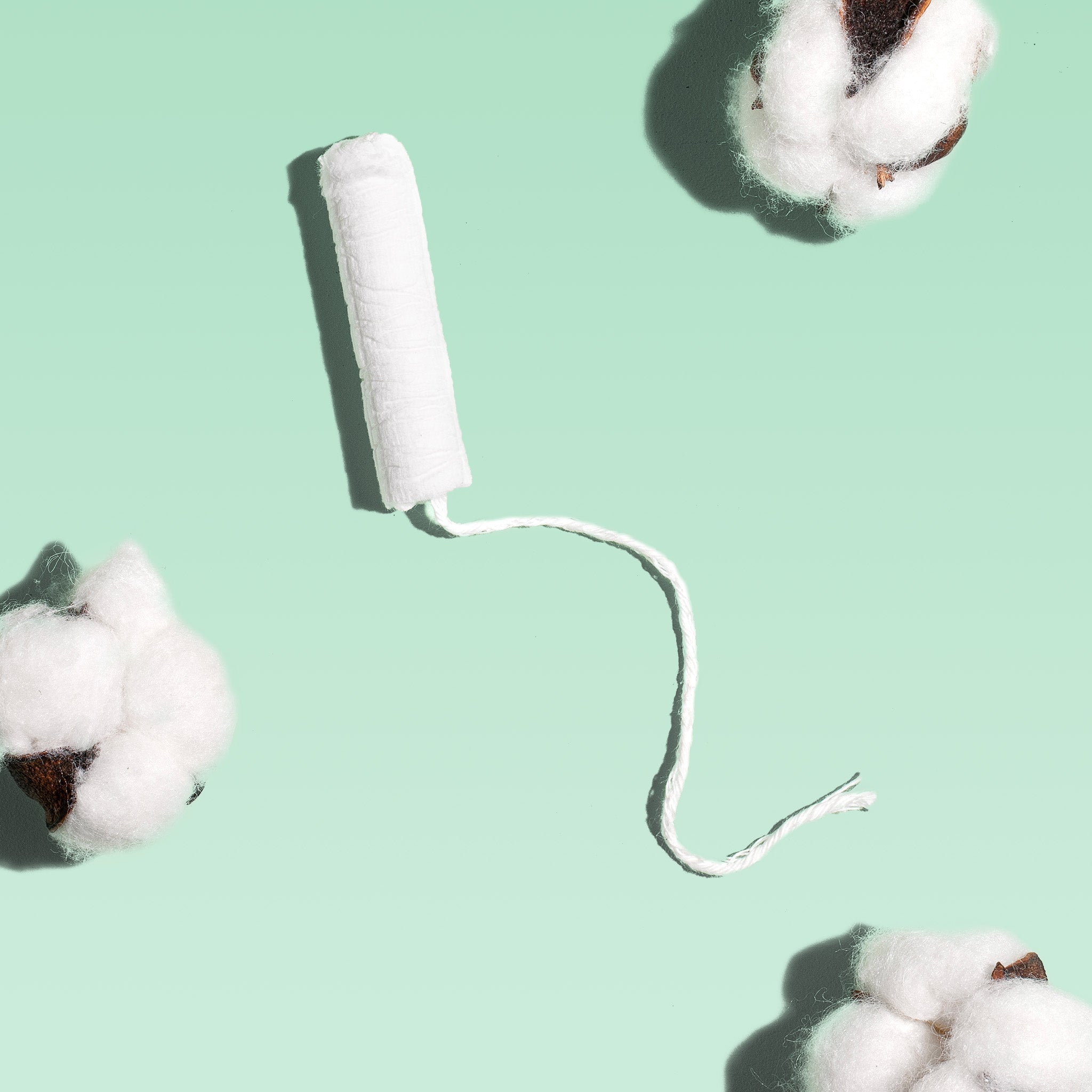 Regular Cardboard Applicator Tampons Made With Organic Cotton B0