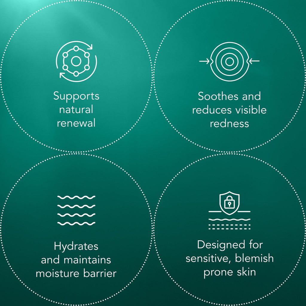 Blemish Recovery Mask S1