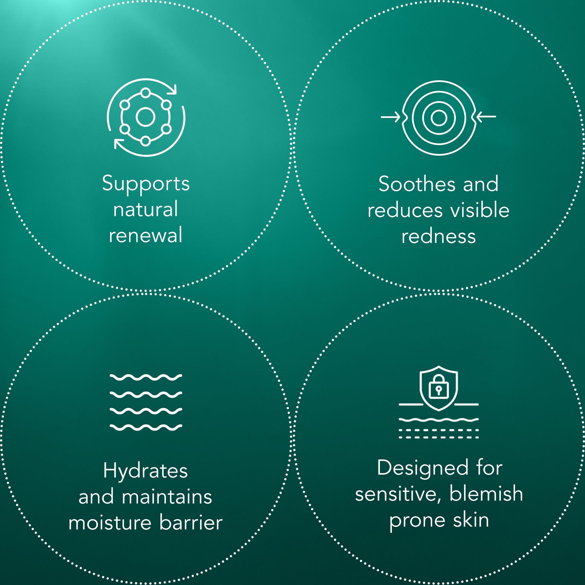 Blemish Recovery Mask S1